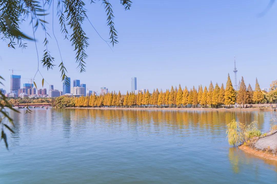 五一怎么玩才能省钱,五一怎么玩才能嗨起来