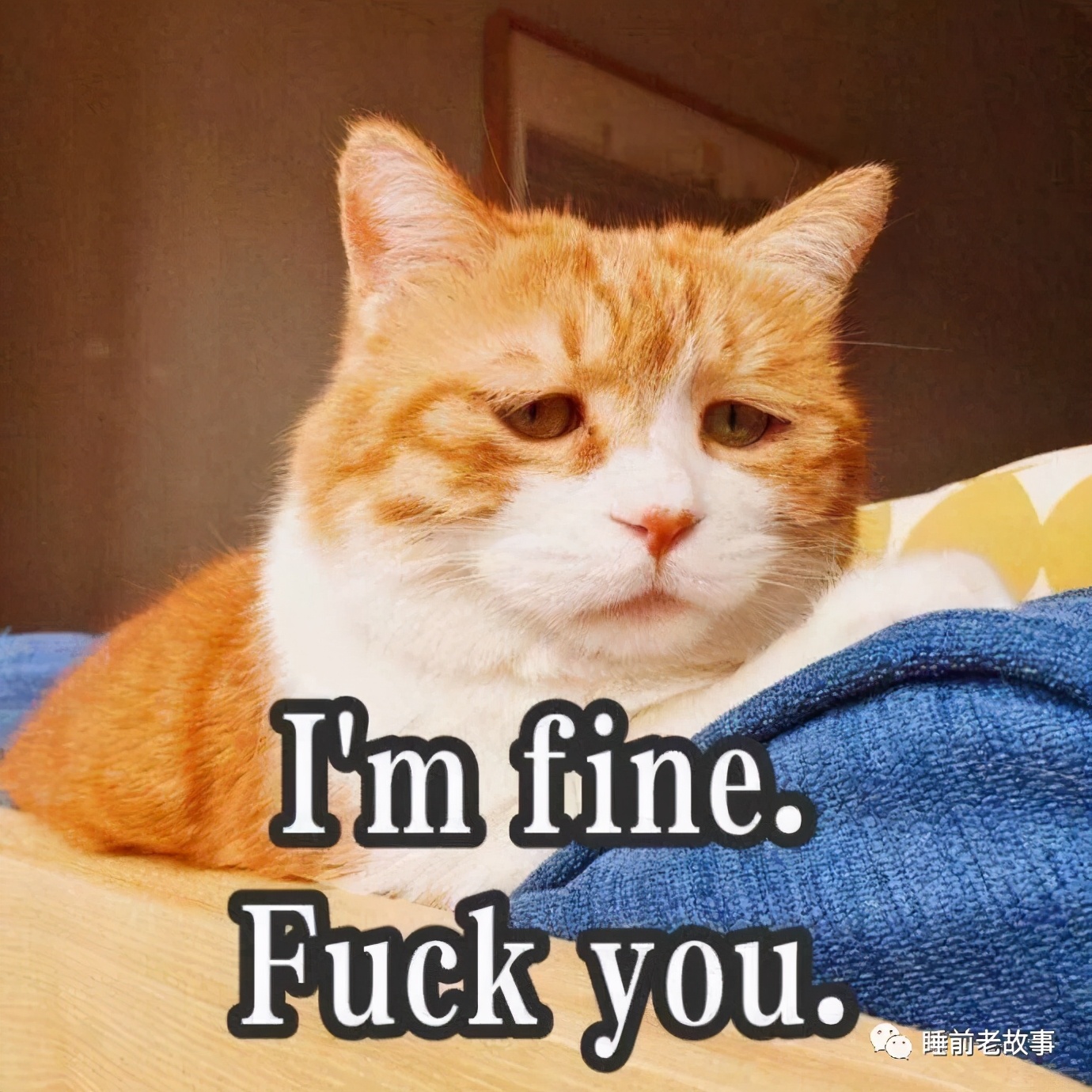 「志怪大百科」——天庭分公司：瘟部