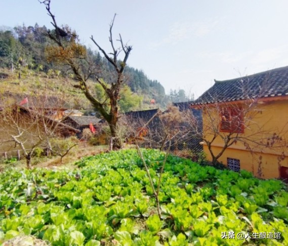 德夯苗寨的文化,德夯苗寨有多少的历史