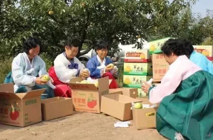 这个吉林特产,贼解秋燥!