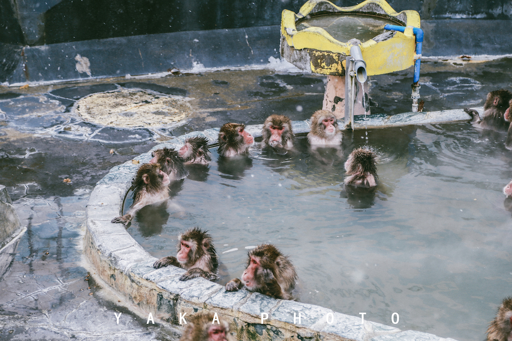 日本北海道旭川到函馆的距离,北海道函馆景点