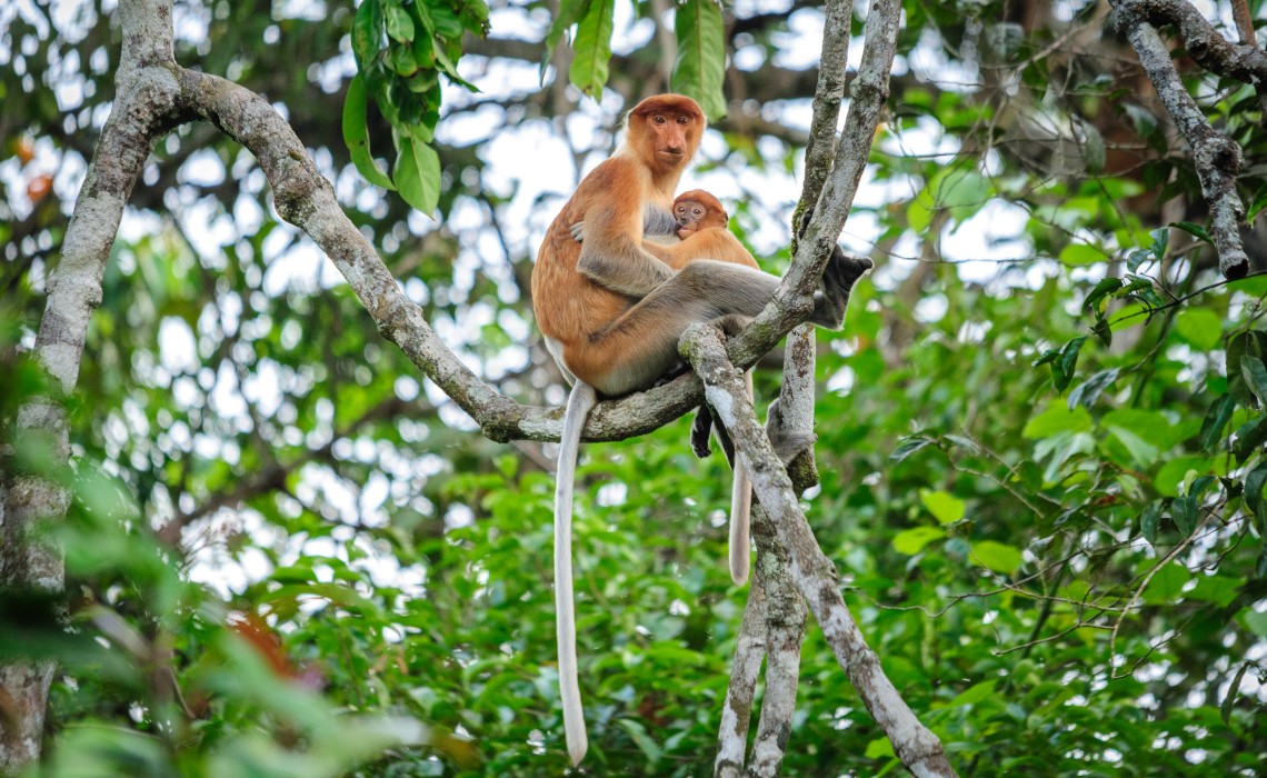 华人出力建设的地方，海鲜价是国内三分之一，20元打车能逛全城！