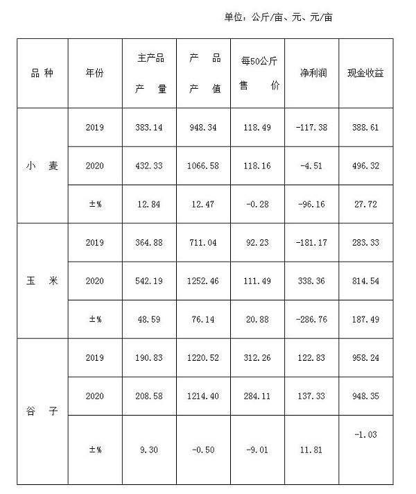 农业生产成本预估表格,农业农村统计数据分析报告