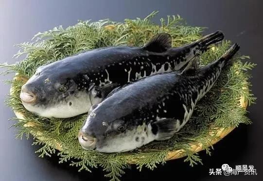 春节必买的海鲜,一年四季海鲜怎么选