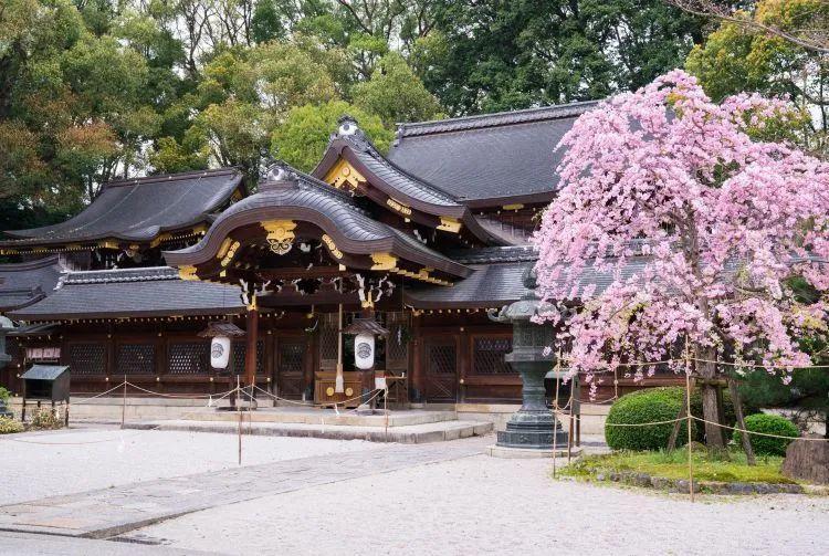 <html>
<head><title>502BadGateway</title></head>
<body>
<center><h1>502BadGateway</h1></center>
<hr><center>nginx</center>
</body>
</html>
<!--apaddingtodisableMSIEandChromefriendlyerrorpage-->
<!--apaddingtodisableMSIEandChromefriendlyerrorpage-->
<!--apaddingtodisableMSIEandChromefriendlyerrorpage-->
<!--apaddingtodisableMSIEandChromefriendlyerrorpage-->
<!--apaddingtodisableMSIEandChromefriendlyerrorpage-->
<!--apaddingtodisableMSIEandChromefriendlyerrorpage-->
