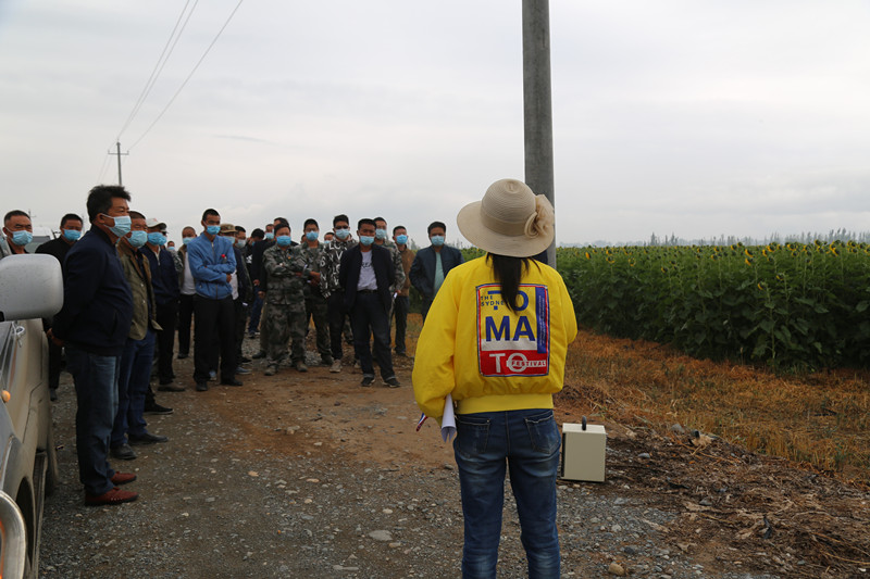 新疆兵团农七师128团,兵团第七师农业种植