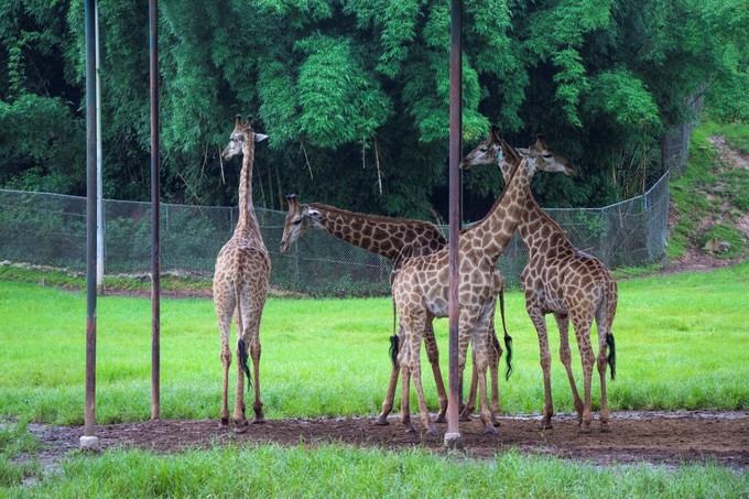 儿童亲子游怎么玩,室内亲子游必玩100例