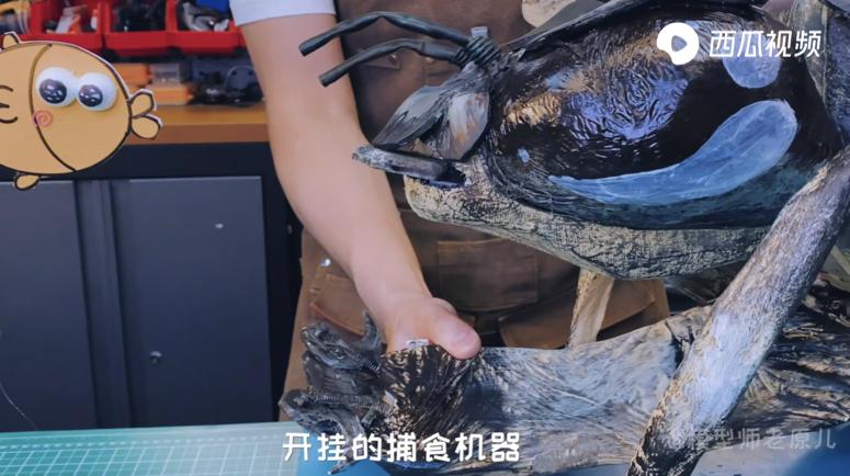 童年里总有蜻蜓的身影，现在没了？西瓜视频揭秘蜻蜓的生存有多难