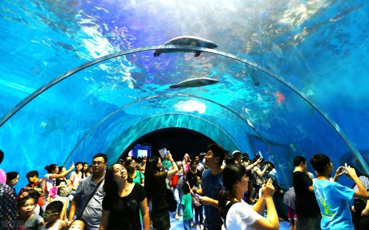 五一自驾游推荐景点武汉,武汉适合周末出游的地方