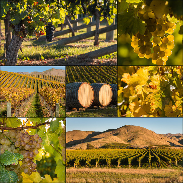 西班牙冷知识100例,你不知道的冷知识西班牙