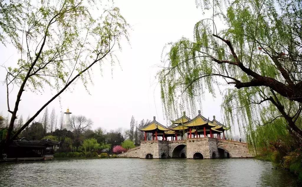 天津出发十一月的特价机票,六月份天津哪里的机票最便宜