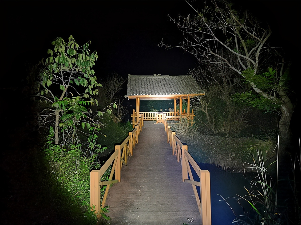 傲雷新款黑武士,傲雷武士爆闪