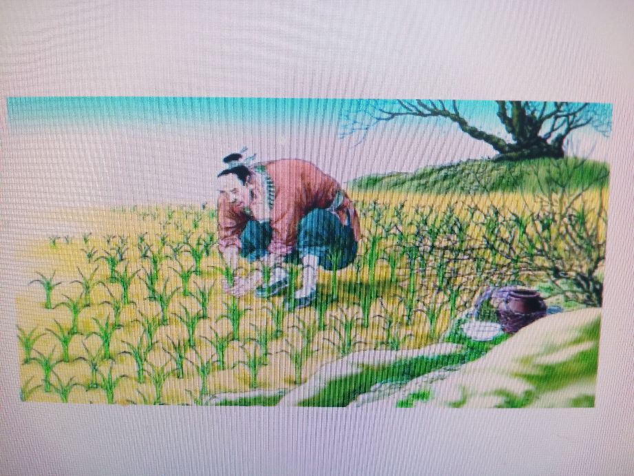 传统农耕文化体现的智慧有哪些,农耕文化的精髓和思路