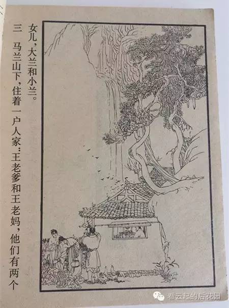 小人书《马兰花》：小时候最大的梦想，是拥有一朵马兰花