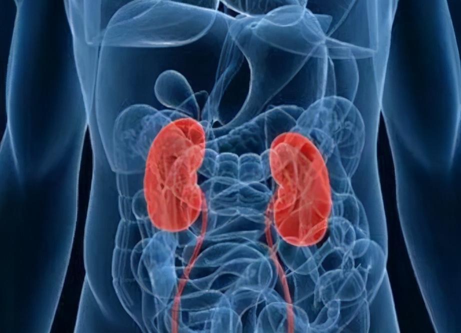 心脑肾的危害有哪些,会损害心脑肾的疾病