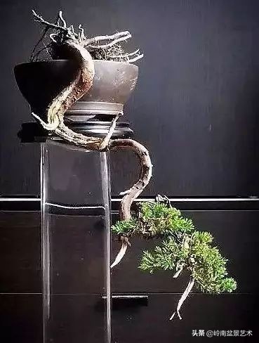 鎮礀缁濆閫㈢敓,鎮礀鐩嗘櫙澶у叏