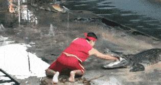 瀚阳水上世界鳄鱼表演,鳄鱼谷鳄鱼表演