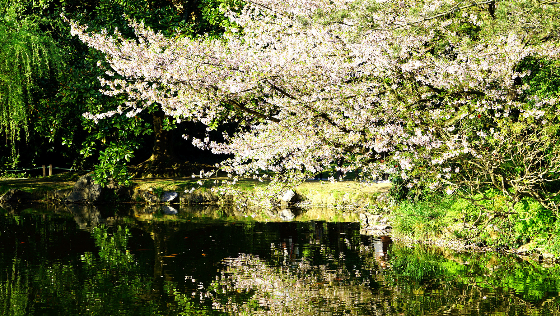 杭州西湖游玩攻略大全,杭州西湖最佳游玩攻略