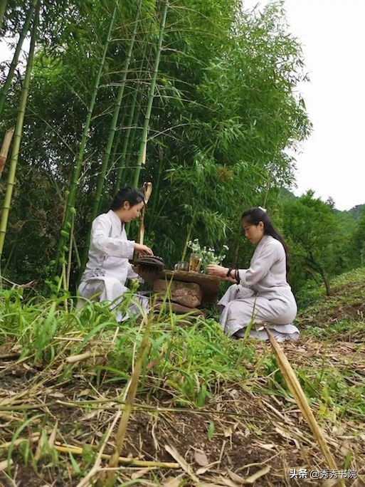 秀秀老师课程,秀秀教创业