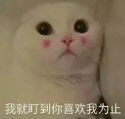 玫红色调的口红推荐,适合夏季的正红色口红