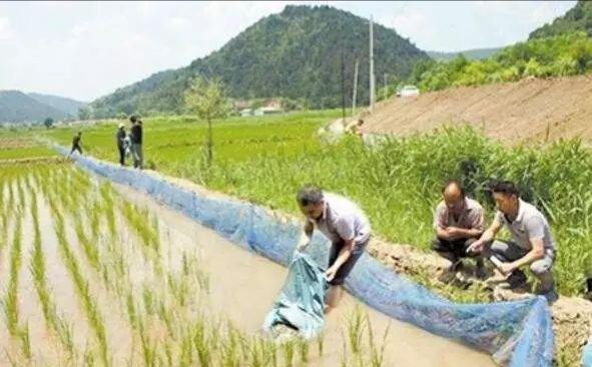 鳝鱼泥鳅养殖前景,泥鳅养殖成本与利润多少钱一亩