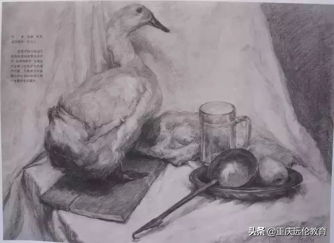 中央美术学院素描静物高分卷,中央美术学院素描精品视频