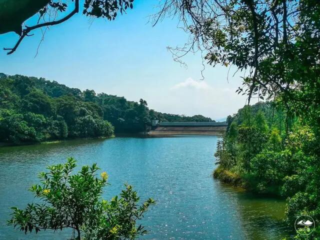 深圳海边最好的公园,深圳有几个靠海的公园