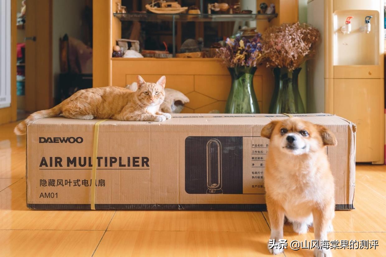 大宇无叶风扇推荐,韩国大宇无叶风扇