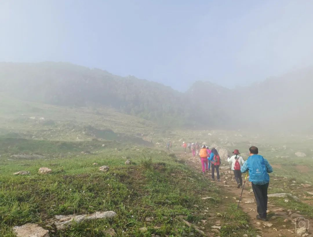 徒步穿越北驼梁完整版,穿越花海古道游记