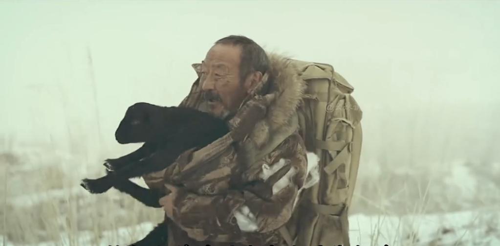 75岁老头被狼群追杀徒手大战狼群,放羊老汉遭遇狼群