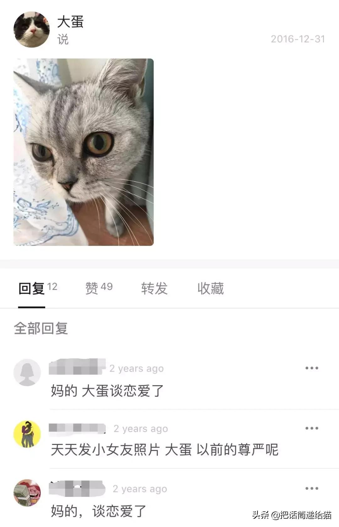 猫故事全集,猫故事小说