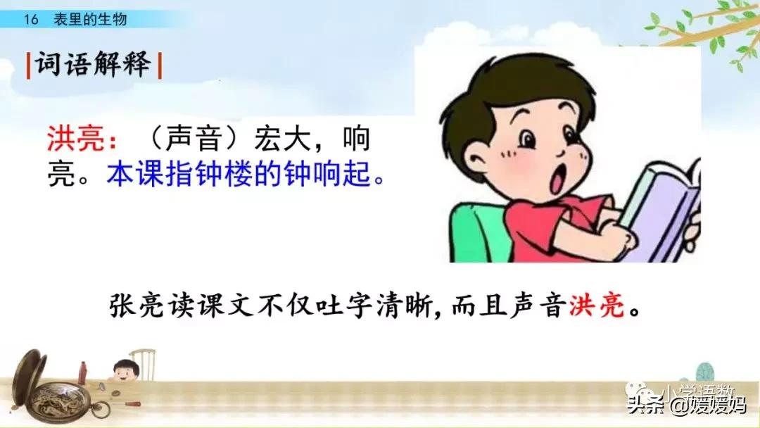 六年级下册语文表里的生物朗诵,六年级下册表里的生物小练笔400字