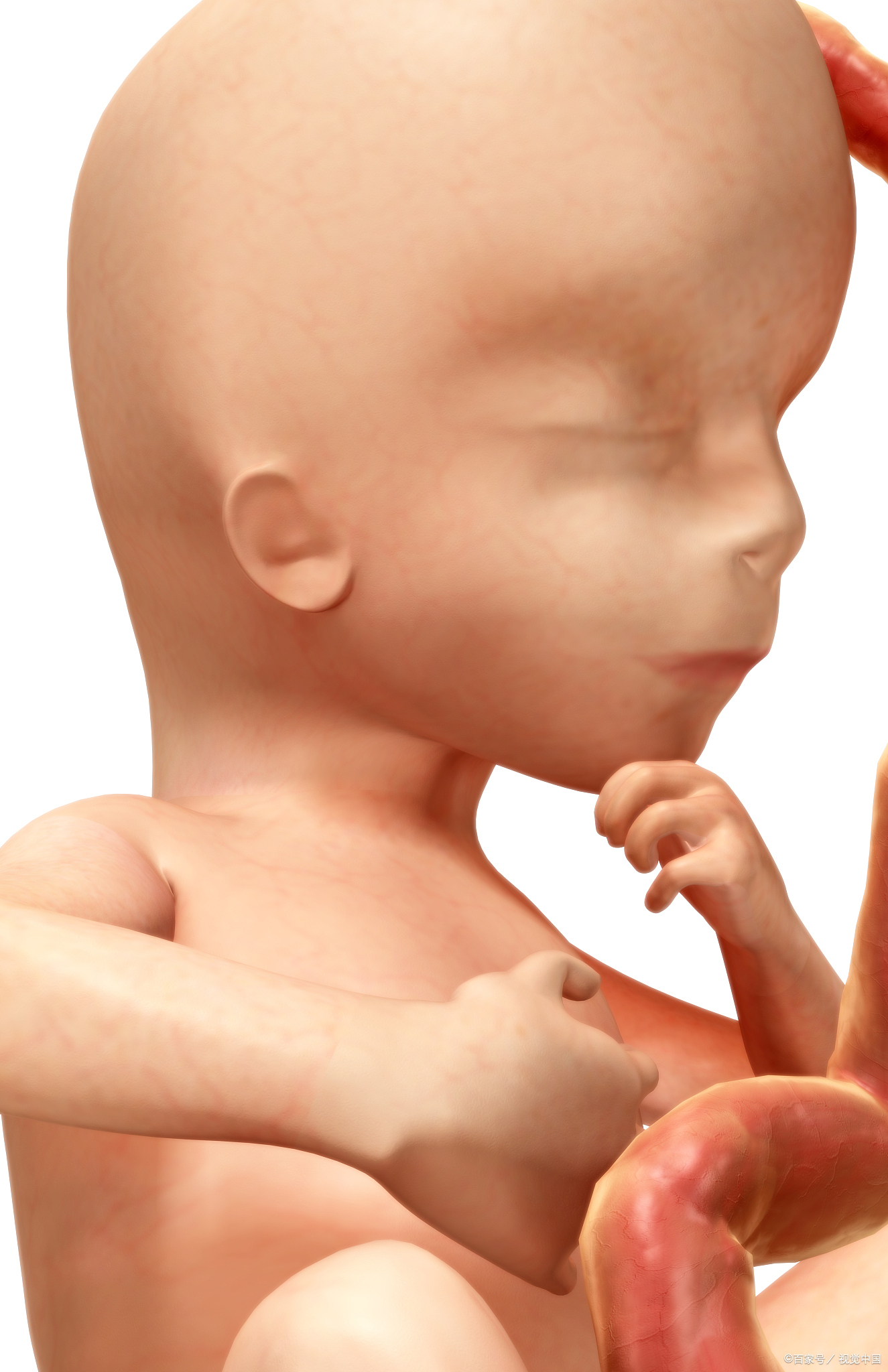 藏医的四大传统医学有哪些,中医学和藏医学