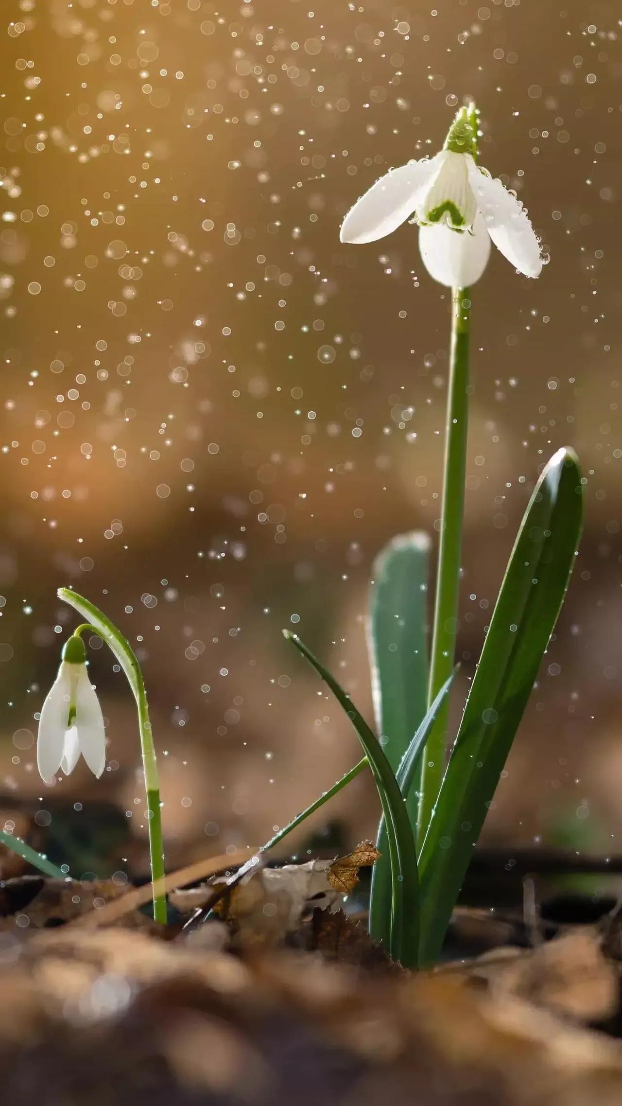 质疑不代表不信任,质疑不可以置疑吗