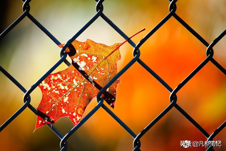 选择曝光快捷键,选择曝光