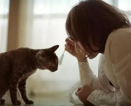 猫毛过敏，又很想养猫怎么办？十条建议帮你消除烦恼