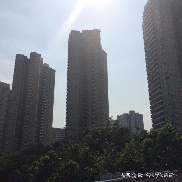 最新深圳百花片区学位房,深圳市福田区百花片区学位房