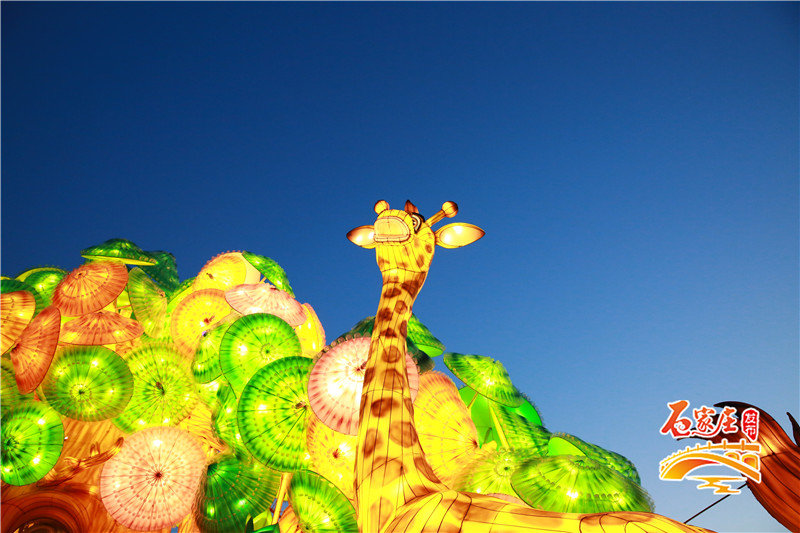 国家级非遗自贡花灯将亮相古城,石家庄栾城慧灯庄园门票多少钱