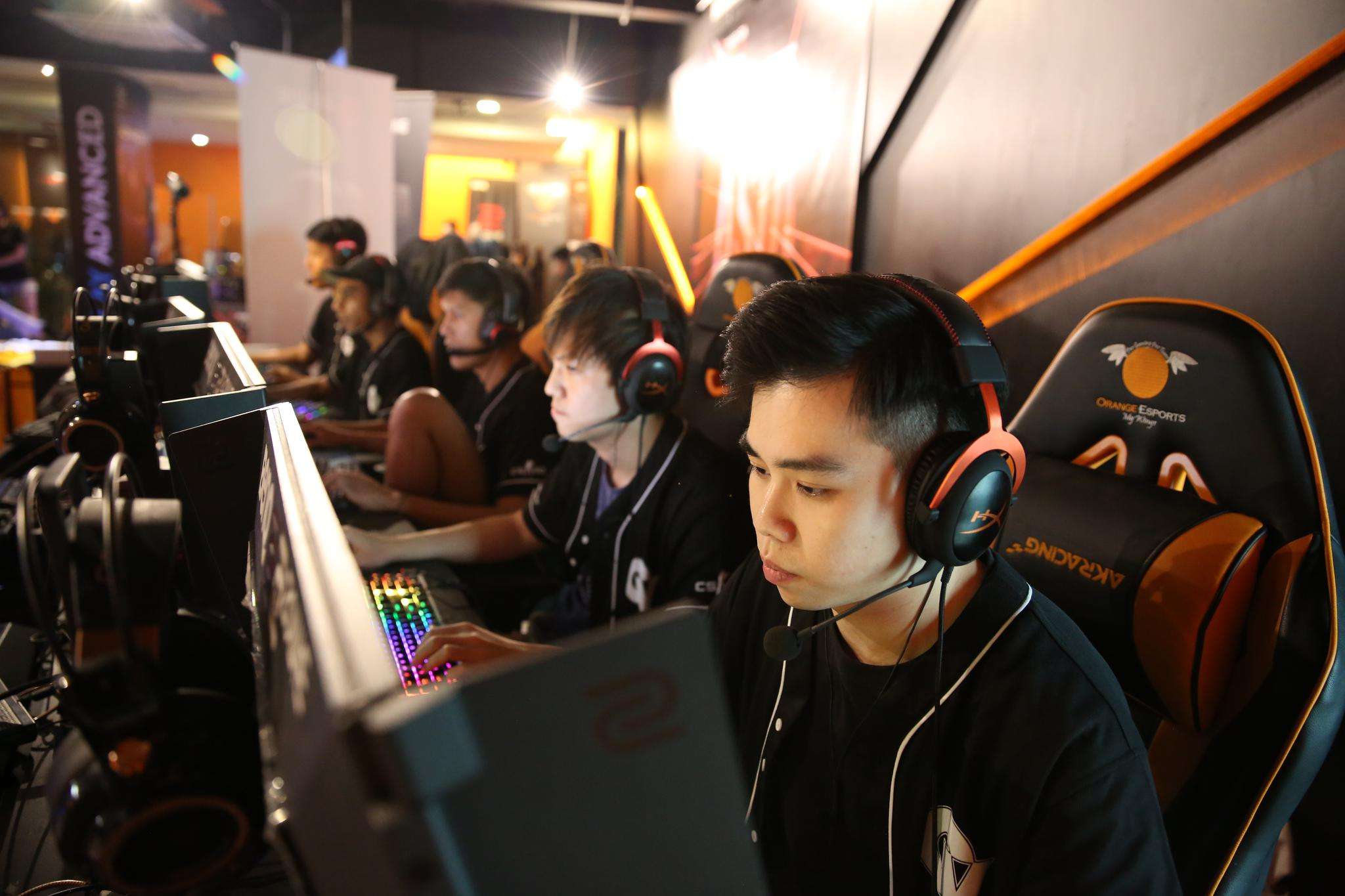 艺考志愿通小程序,艺考志愿通辅助系统