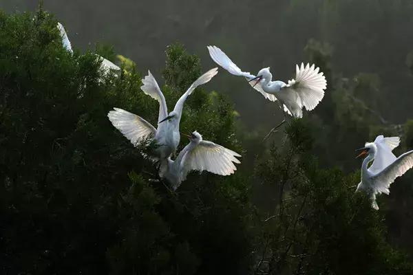 涟水岁月静好,涟水生活