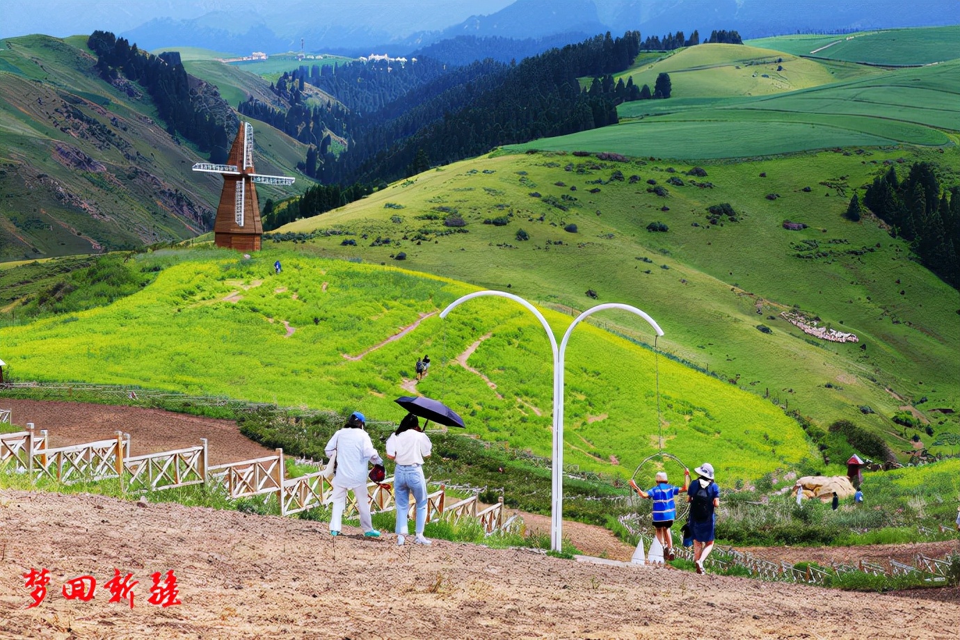 梦回新疆梦回拉萨,梦回伊宁草原视频