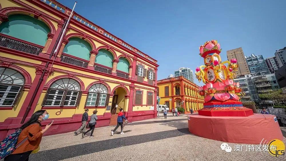 澳门美图欣赏,澳门春日赏花美图