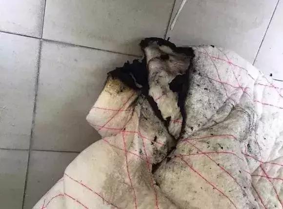 狗从高空掉下来会怎么样,狗从楼上摔下来有什么预兆