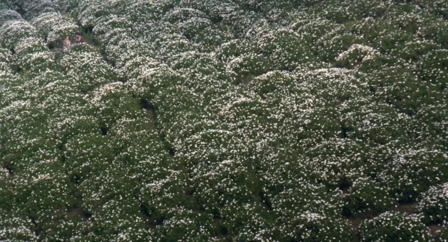 一个20岁小伙子的故事,一个20出头的男孩爱上一个女孩