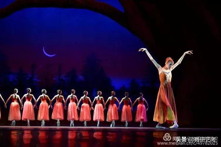 辽宁芭蕾舞学校招生简章,辽宁芭蕾舞附中22年招生简章