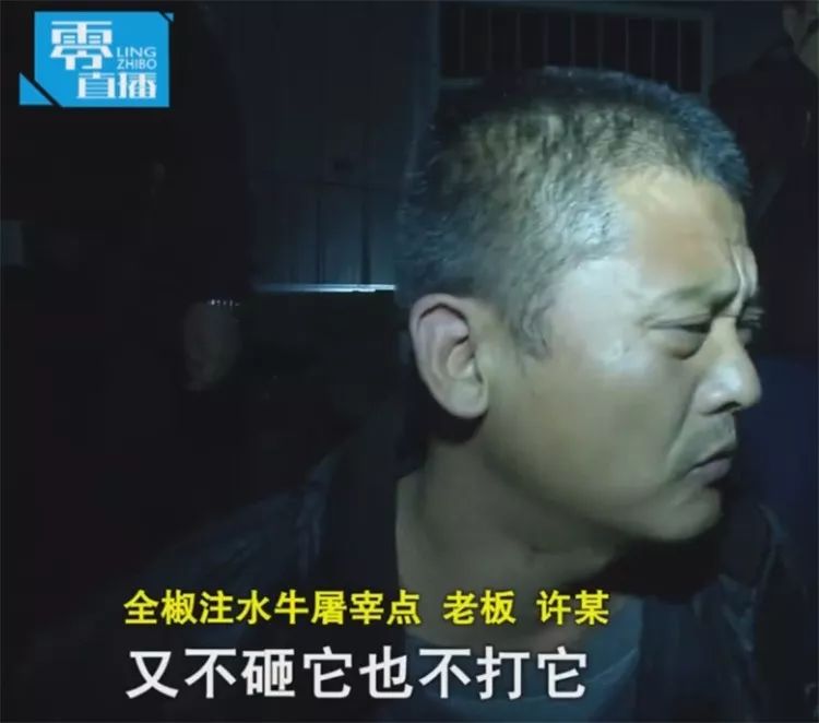 给活牛注水致死牛肉能吃吗,活牛注水后的牛肉