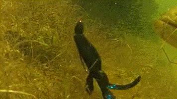 软饵钓组最佳搭配,软饵野钓操作手法