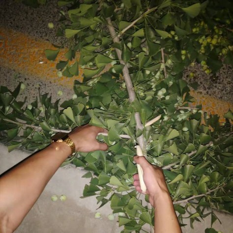 韩雪明星推荐好物,韩雪好物