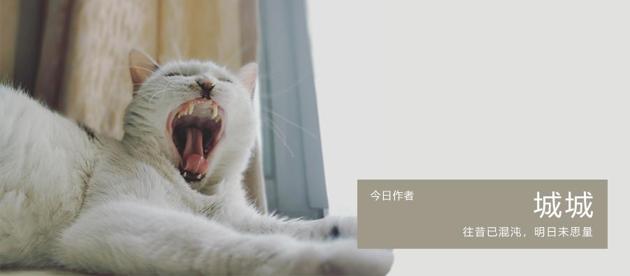 这些特大城市里，这个北方海边城市真的挺“大”