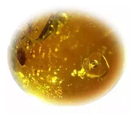 蜜蜡品种对照表,蜜蜡的分类大全